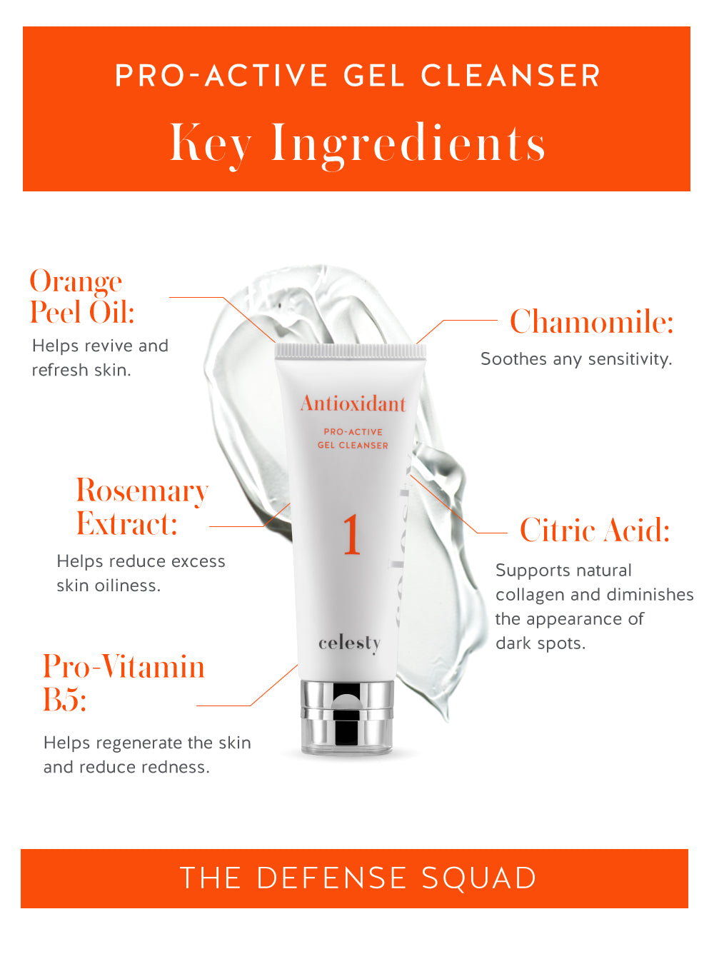 Pro-Active Gel Cleanser