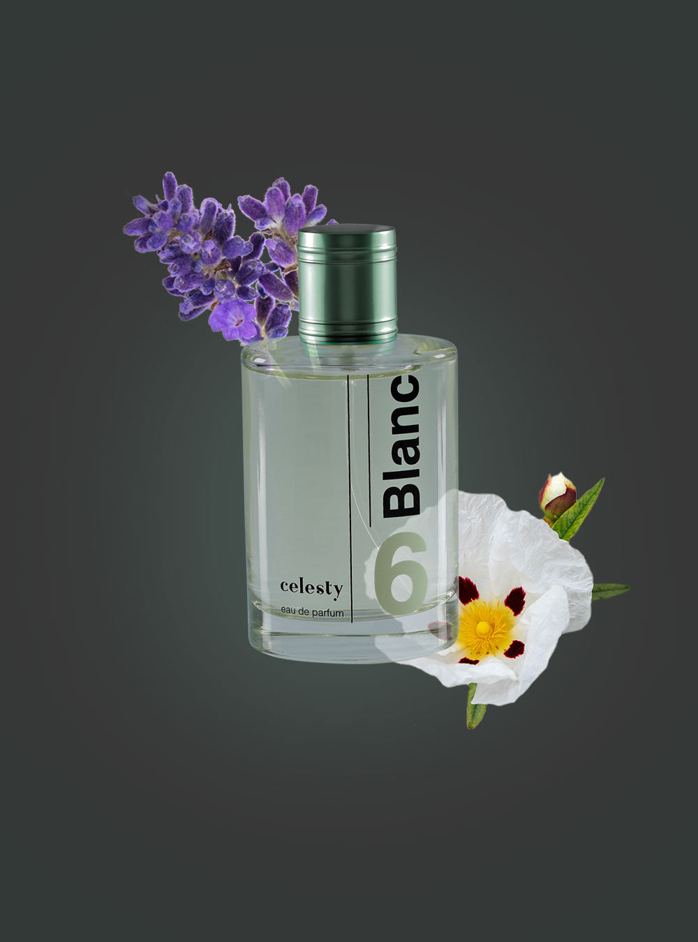 Blanc EDP